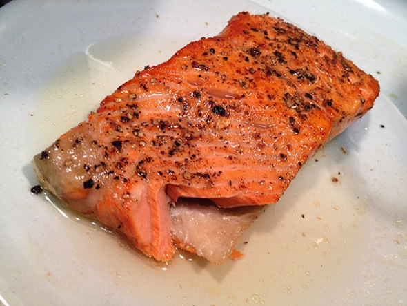 salmon